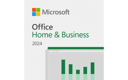 Microsoft Office Home & Business 2024 